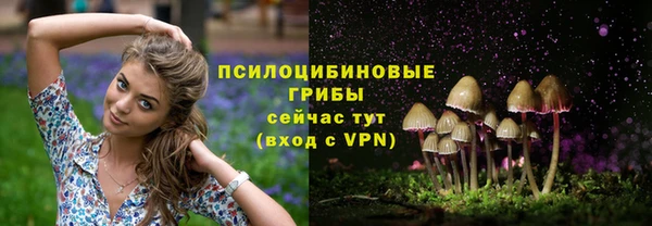 твердый Алексеевка