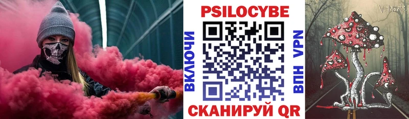 Псилоцибиновые грибы GOLDEN TEACHER  дарк нет клад  Краснослободск  цены  